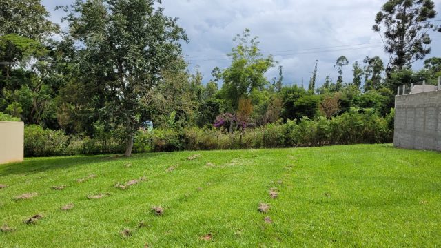 terreno condominio vereda jatoba