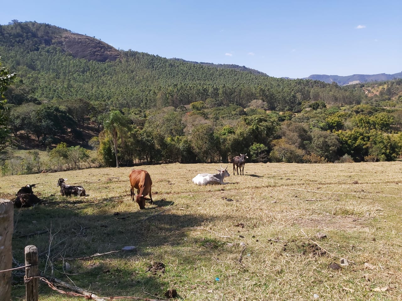 Sitio em Braganca - #SítioÀVenda #SítioEmBragançaPaulista #BragançaPaulista #ImóvelRural #SítioComPiscina #SítioCompleto #SítioComEventos #SítioParaMorar #SítioComCasaSede #ImóvelComEstrutura #SítioComÁreaDeLazer #ChácaraÀVenda #ChácaraEmBragançaPaulista #TurismoRural #VidaNoCampo #RetirosEspirituais #EspaçoParaEventos #CasaDeCampo #LazerNoCampo #InvestimentoRural #NaturezaEPaz #SítioComAcessibilidade #SítioComSalãoDeFestas #SítioComPiscinaInfantil #SítioComSalãoDeJogos #SítioComChurrasqueira #SítioComCasaDoCaseiro #SítioComOficina #ÁguaDeMina #PoçoSemiArtesiano #RefúgioNoInterior #SítioPorteiraFechada #VivaNoCampo #ImóveisSP #ImóveisRuraisSP #ImobiliáriaBragançaPaulista #ComprarSítio #SítioParaFamília #SítioComBeliches #SítioComPaisagismo #EspaçoParaRetiro #SítioComGaragemCoberta #CampoENatureza #QualidadeDeVida #MoradiaComLazer #SítioComInfraestrutura #ImóvelDeOportunidade #OportunidadeRural #FazendaEmBragança #SítioComRefeitório #ComprarNoInterior