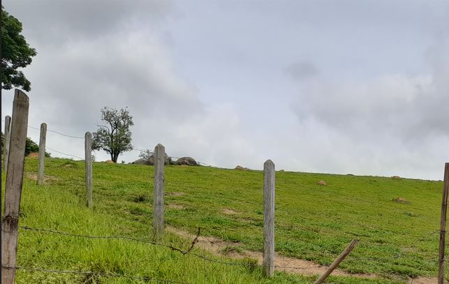 Terreno rural com nascente