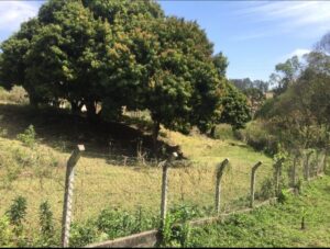 Sitio 4 alqueires