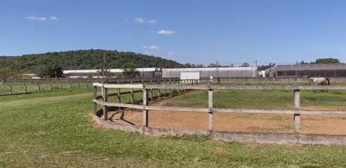 Haras em Atibaia