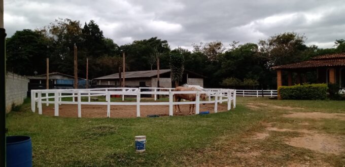 Mini Haras em Braganca