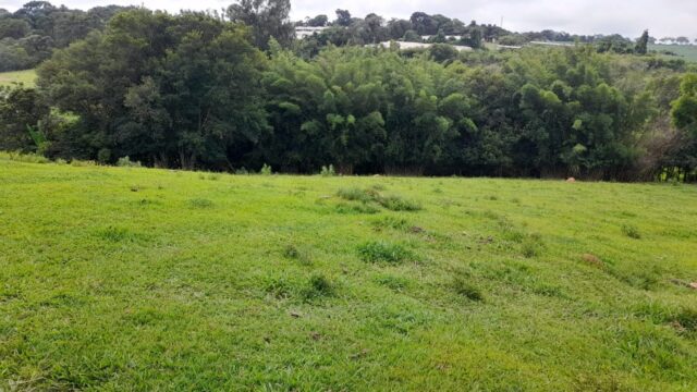 Terreno rural com nascente
