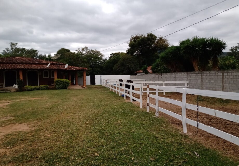 Haras mini em Braganca